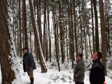 Holzauszeige_04