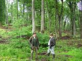 Holzauszeige_05