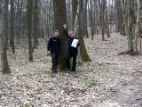 Holzauszeige_08
