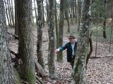 Holzauszeige_09