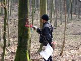 Holzauszeige_12