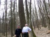 Holzauszeige_13
