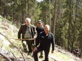 Holzauszeige_16