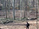 Holzauszeige_19