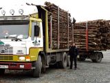 Transportlogistik_09