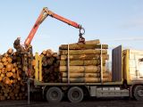 Transportlogistik_14