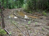 Waldverwuestung_04